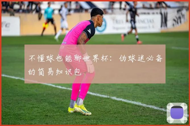 不懂球也能聊世界杯：伪球迷必备的简易知识包