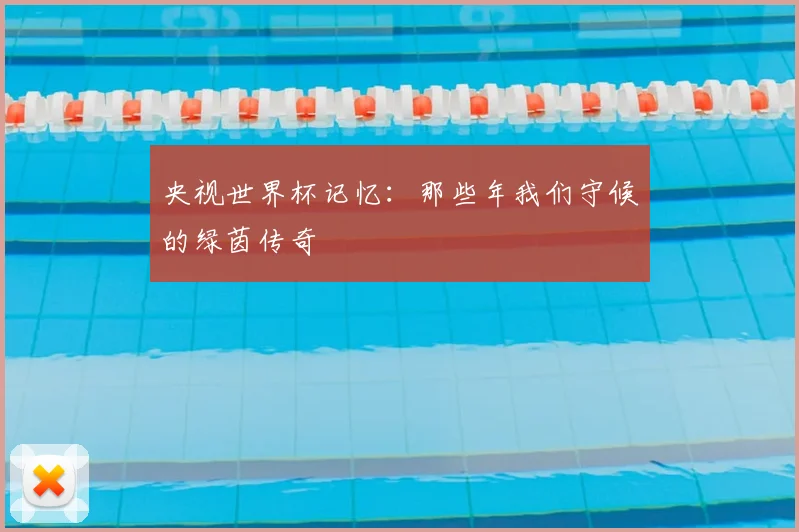 央视世界杯记忆：那些年我们守候的绿茵传奇